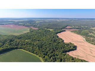 TRACT 12, LOOKING NORTH TO TRACTS 10 & 11 - LARGE KANSAS AUCTION - 7,672+/- ACRES OFFERED IN 12 TRACTS IN CHAUTAUQUA COUNTY, KANSAS